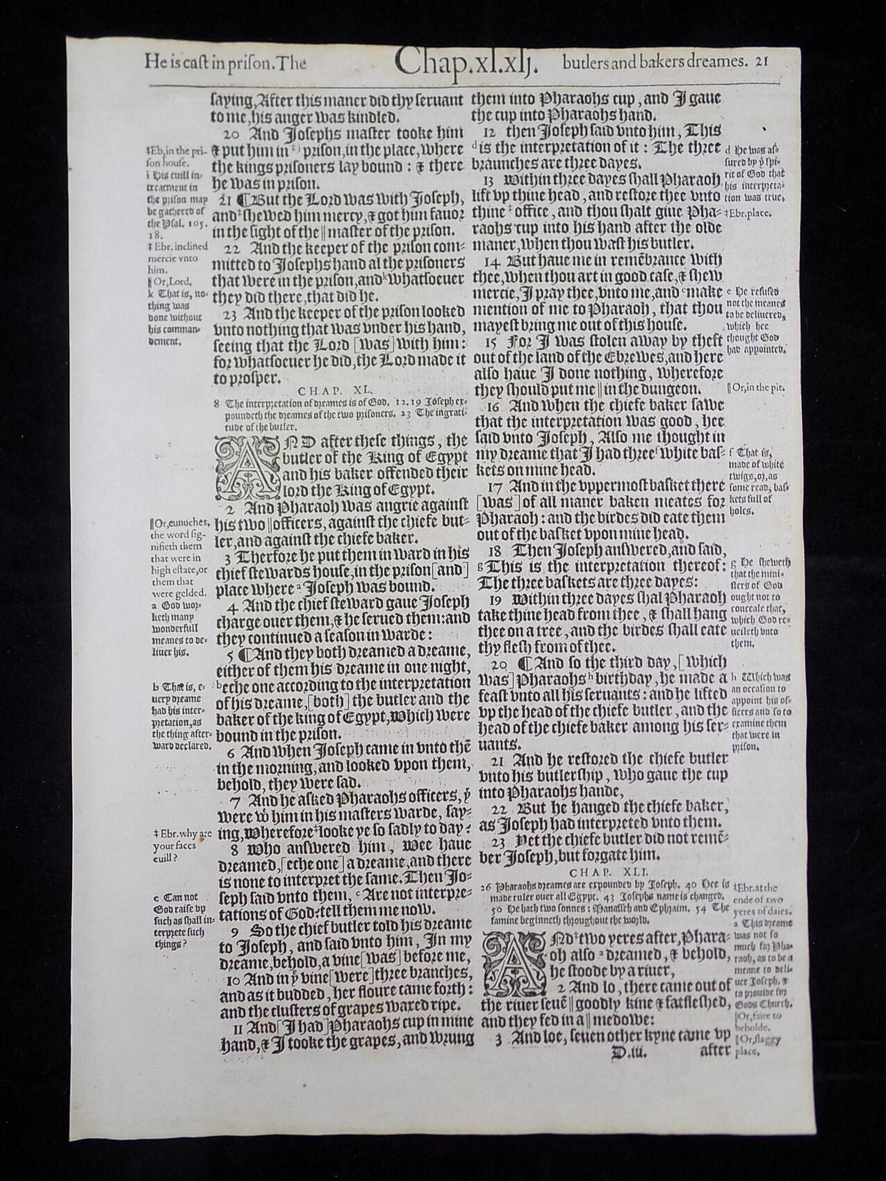 1583 Noblest Geneva Bible Folio- Book of Genesis Leaves - Image 19