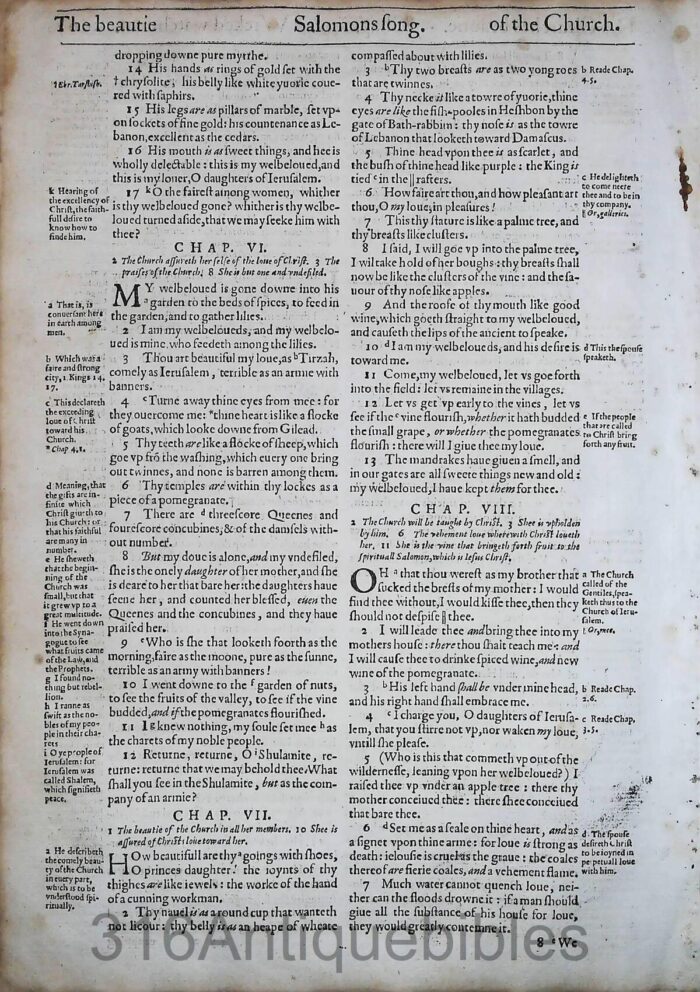 1612 GENEVA BIBLE SONG OF SOLOMON LEAVES