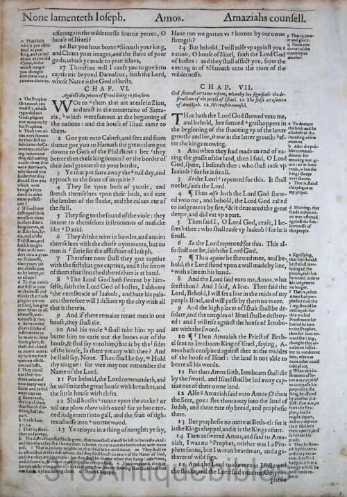 1612 GENEVA BIBLE AMOS LEAVES