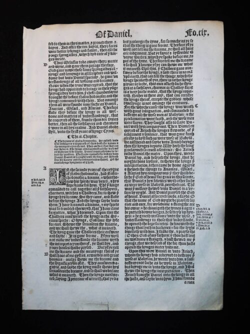 1541 GREAT BIBLE BOOK OF DANIEL LEAVES